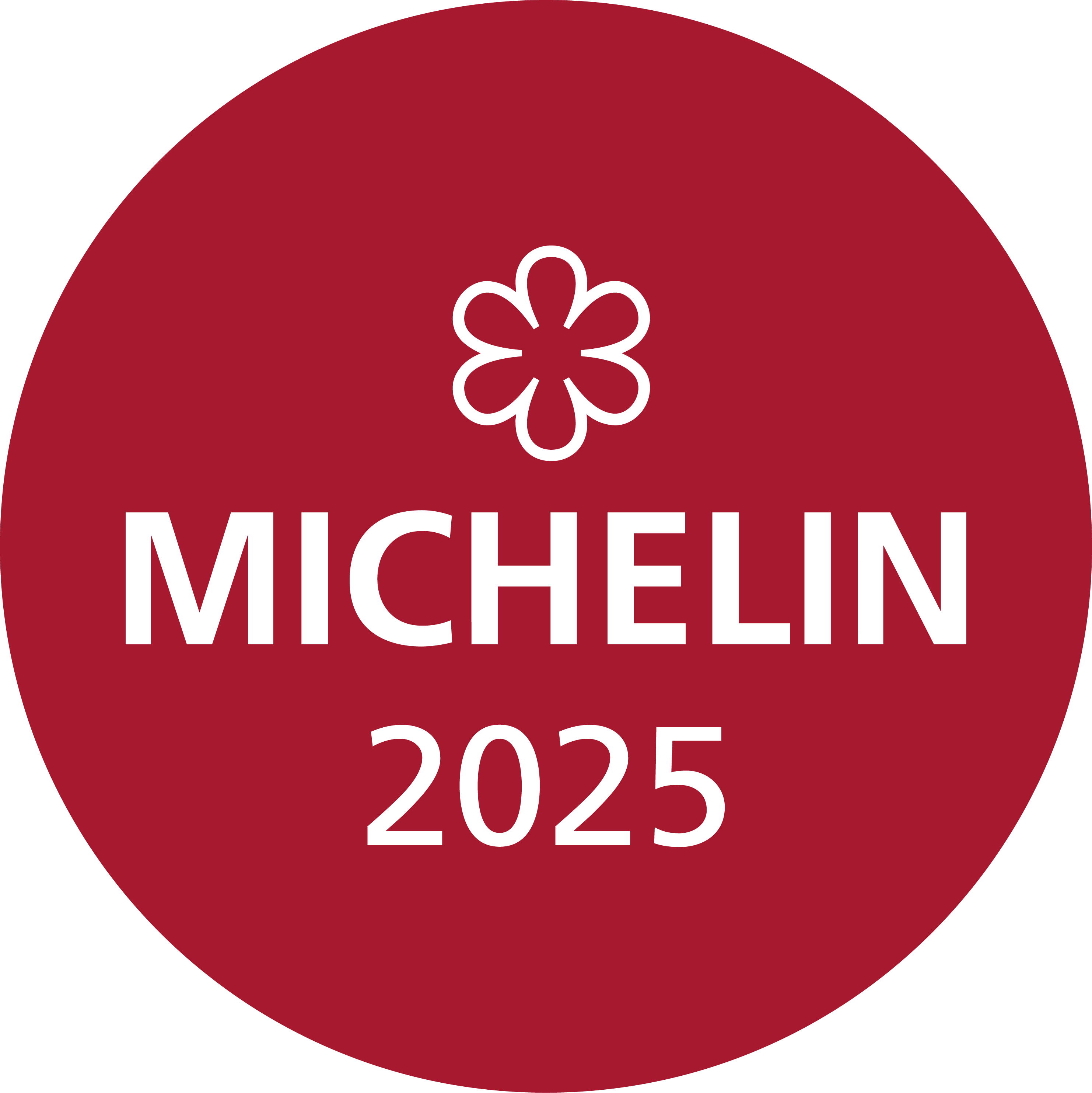 Michelin 2025 Badge Logo